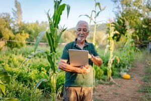 Semana decisiva para o agro: WASDE, balança comercial e dados do Imea em pauta