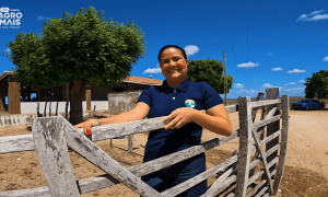 JP Lácteos em Jaguaretama transforma leite sertanejo em produtos de qualidade.