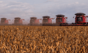 Anúncio do Plano Safra 2025 com recorde de volume e alta nos juros preocupa o setor agropecuário