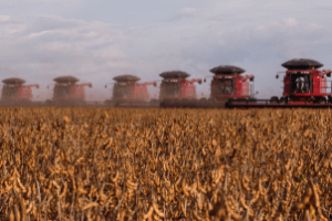 Agricultor diante de planilha de crédito rural com gráficos de juros