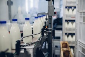 A selective focus shot of complete milk bottling line in a factory