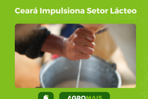 Ceará Impulsiona Setor Lácteo com Isenção de ICMS para Produtos Locais