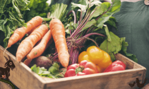 Ministros do BRICS reforçam ações por segurança alimentar e desenvolvimento sustentável