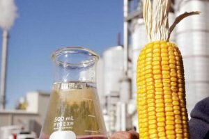 Etanol de milho consumirá 37,7 mi de toneladas em 2026/27 — nova disputa estrutural no cereal