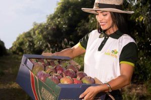 Mulheres no agro nordestino: 54% do Agroamigo e protagonismo crescente