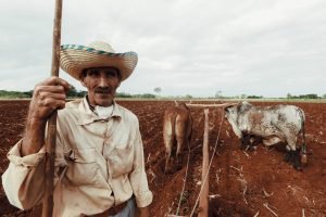CMN regulamenta MP 1.376 — renegociação de dívidas rurais aberta desde 24/07