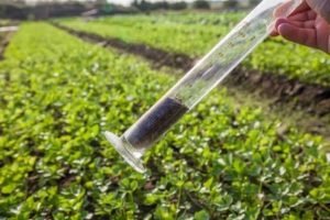 Diagnóstico de solo negligenciado em milhões de hectares 