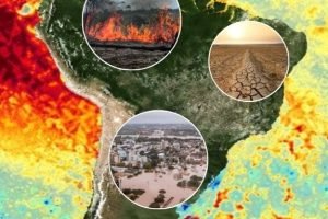 Super El Niño 2026: 80% de chance e risco de 15% de alta nos alimentos