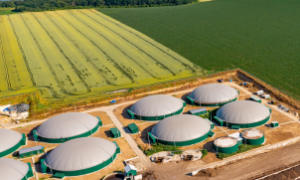 Brasil constrói maior usina de biogás do mundo, impulsionando a sustentabilidade no agronegócio.