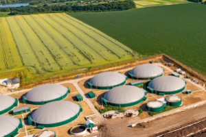 Planta de biogás construída no Brasil para reaproveitamento de resíduos cítricos.