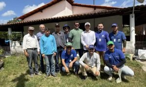 Agricultores em área produtiva de mandioca em Mauriti
