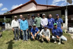plantação de mandioca no interior do Ceará
