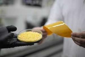 Patente inédita cria fertilizante inteligente brasileiro que regenera solos e reduz emissões