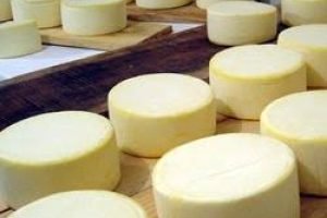 62ª ExpoJaguar: julgamentos, IG do Queijo Coalho e SISBI hoje.