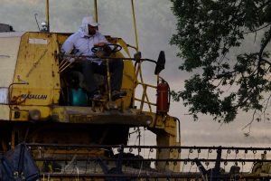 A semana que muda a safra: 5 ações urgentes para o produtor nordestino antes de sexta