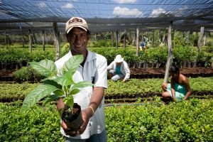 Relatório SOFI 2026 da ONU destaca produção familiar na segurança alimentar — Nordeste em destaque