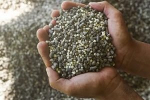 Brasil importa 85% dos fertilizantes e dependência fragiliza o agronegócio