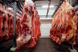 Estratégia dos frigoríficos funciona e oferta menor limita queda da arroba