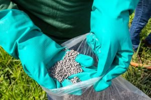 Trégua no Ormuz abre janela de fertilizantes mais baratos 