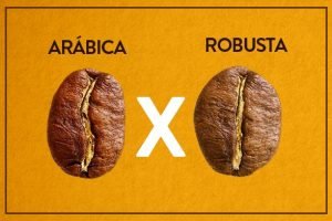 Café com arábica estável e robusta em alta — exportações Brasil podem saltar em 2026/27