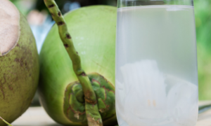 O processo de microfiltração permite preservar o sabor da água de coco sem necessidade de aquecimento.