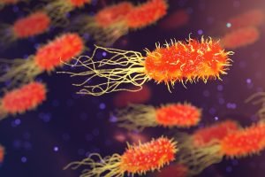 Tecnologia do Consórcio Probiótico Global Biotecnologia