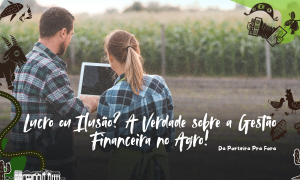 Acompanhar a saúde financeira do negócio rural é essencial para garantir rentabilidade.
