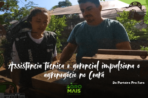 Técnicos de campo acompanham produtores durante 24 meses, unindo gestão e eficiência produtiva no campo.