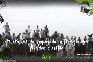 A vaquejada é uma das expressões culturais mais antigas e simbólicas do sertão cearense.