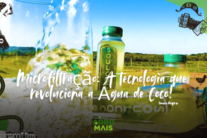 Embrapa e Sococo desenvolvem tecnologia de microfiltração que preserva o sabor natural da água de coco.