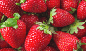 Estufas automatizadas com robôs estão revolucionando o cultivo de morangos nos EUA, Alemanha e Japão