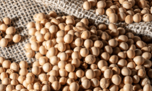 Soja brasileira é exportada para atender demanda chinesa por proteína animal