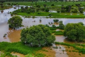 Agronegócio enfrenta El Niño, tarifas e juros no 2º semestre — planejamento urgente para 2026/27