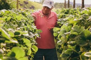 Brasil prestes a superar EUA como maior exportador agrícola — e o Nordeste contribui