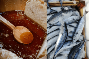 Mel e pescados brasileiros isentos da tarifa americana — oportunidade para o Nordeste