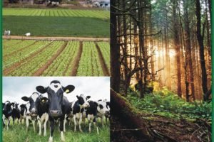 ILPF no semiárido cearense: integração lavoura-pecuária-floresta e resiliência climática