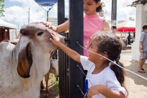 Expocrato 2026 com inclusão e experiências sensoriais