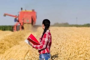 Produtora rural analisando lavoura com tablet em campo, representando inovação feminina no agro