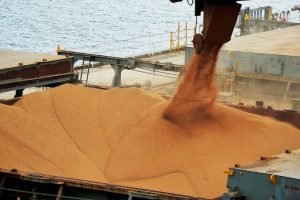 A suspensão dos embarques pela Cargill expôs uma fragilidade estrutural do agronegócio brasileiro diante das exigências técnicas do mercado chinês.