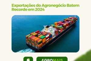 Exportações do Agronegócio Brasileiro Alcançam Recorde no Primeiro Trimestre de 2024
