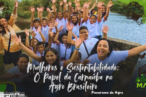 Trabalhadoras rurais coletando folhas de Carnaúba de forma sustentável