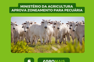 Ministério da Agricultura Aprova Zoneamento para Pecuária