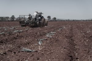 MP 1.376: CNA detalha como acessar renegociação de dívidas rurais — condições e prazos