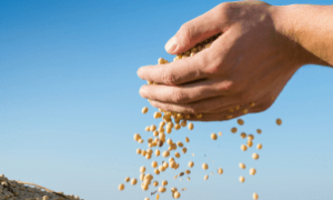 Comissão de Agricultura discute crédito e inovação no agronegócio