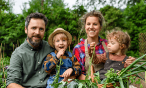 Agricultura familiar é fortalecida com R$ 78,2 bilhões em crédito
