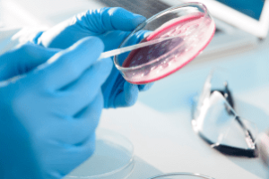 técnico realizando análises microbiológicas em laboratório de diagnóstico avícola para garantir segurança alimentar