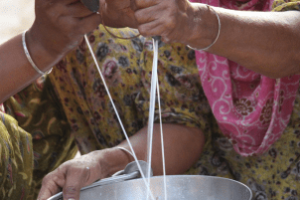 produtor oferecendo alimentação balanceada para vacas leiteiras visando maior produção de leite e eficiência