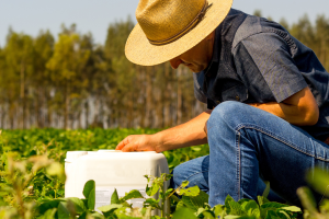 Brasil é líder em destinação correta de embalagens de defensivos agrícolas