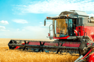 Lavoura de soja verde em área agrícola com céu nublado de primavera