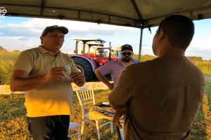 A iniciativa da Faec fortalece a bovinocultura com forragens adaptadas e tecnologias sustentáveis.